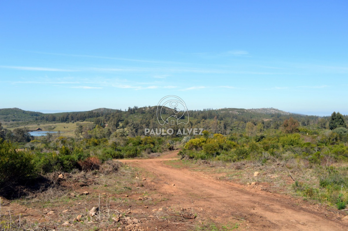 Piriápolis - GoPunta - Portal Inmobiliario de Punta del Este - Maldonado