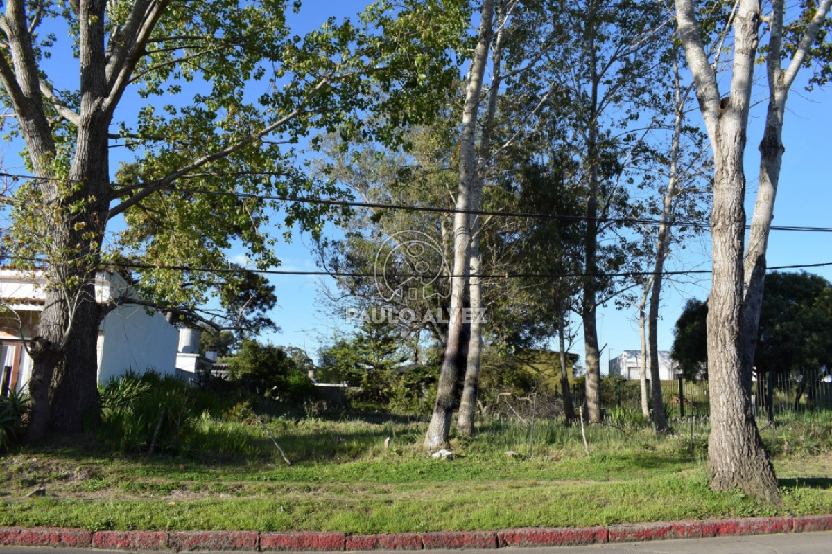 Piriápolis - GoPunta - Portal Inmobiliario de Punta del Este - Maldonado