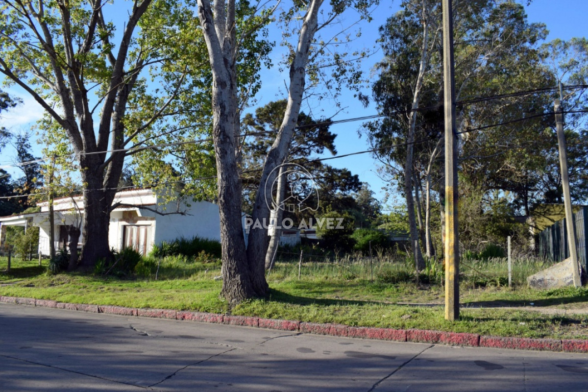 Piriápolis - GoPunta - Portal Inmobiliario de Punta del Este - Maldonado