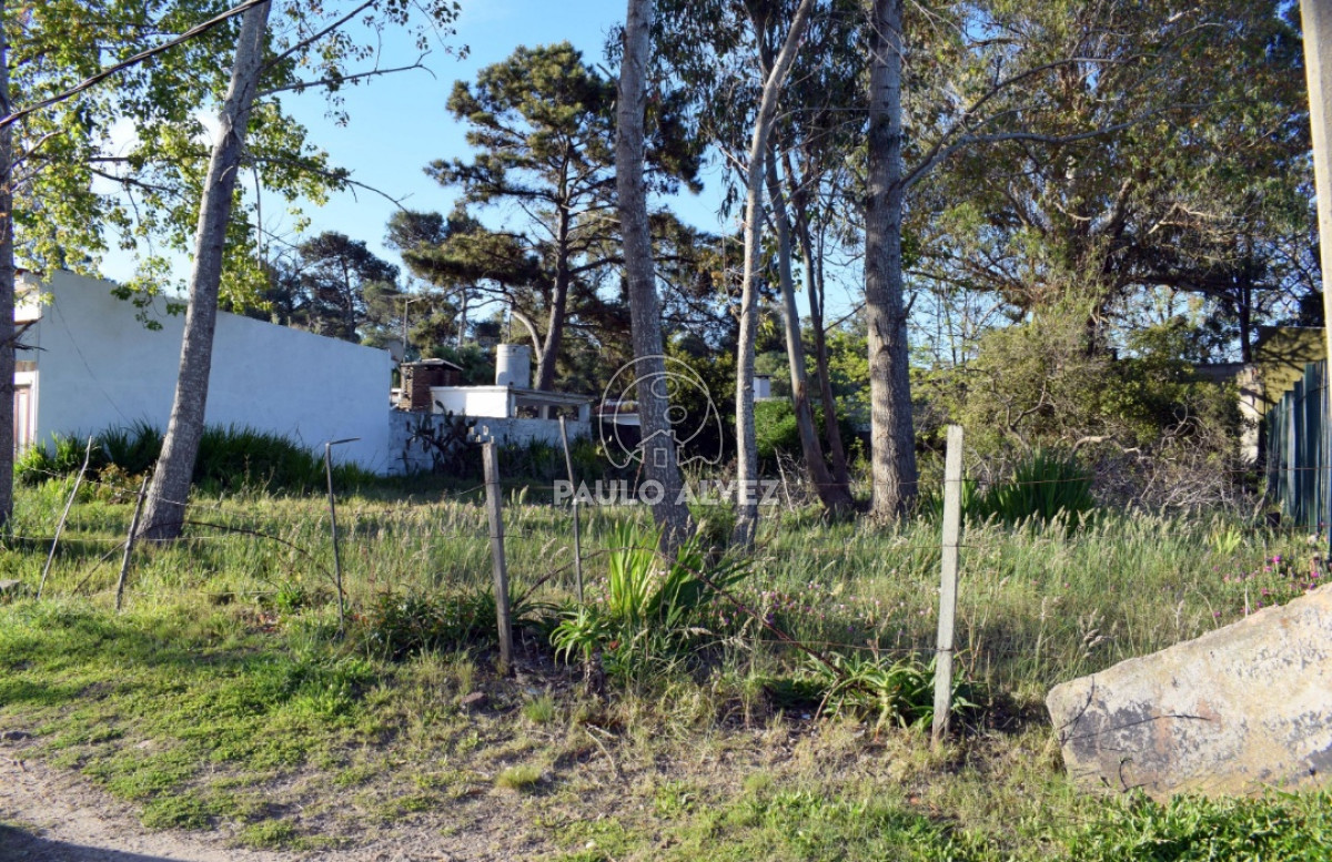 Piriápolis - GoPunta - Portal Inmobiliario de Punta del Este - Maldonado