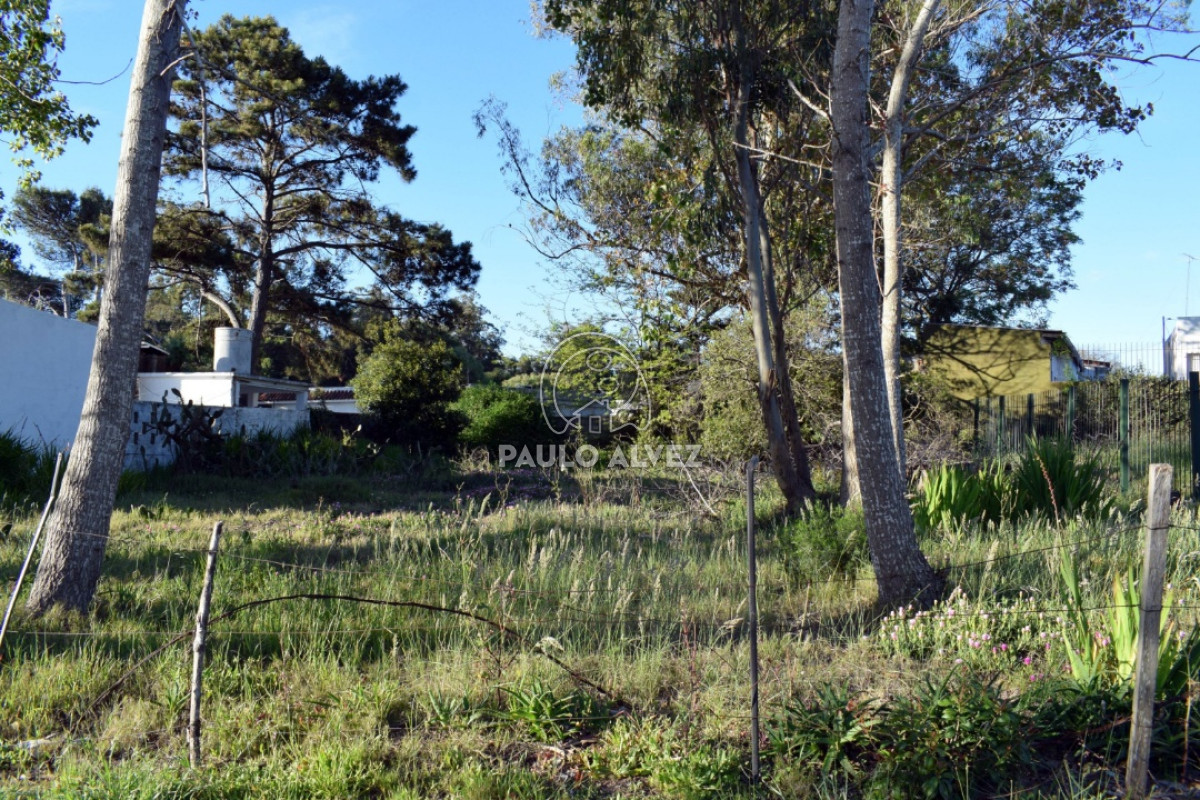 Piriápolis - GoPunta - Portal Inmobiliario de Punta del Este - Maldonado