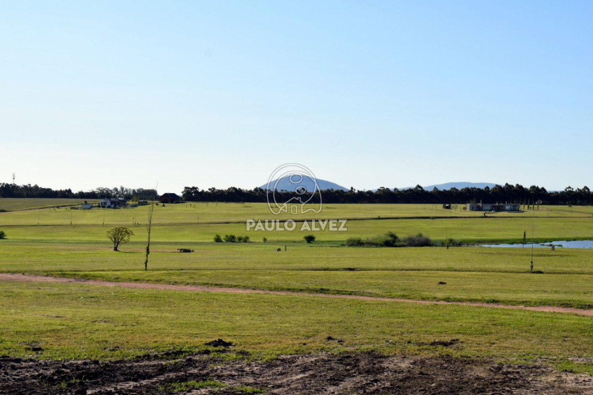 Laguna del Sauce - GoPunta - Portal Inmobiliario de Punta del Este - Maldonado