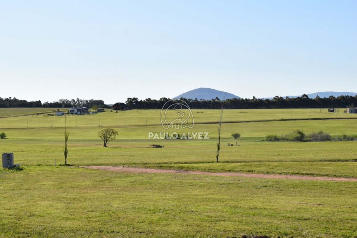 Laguna del Sauce - GoPunta - Portal Inmobiliario de Punta del Este - Maldonado
