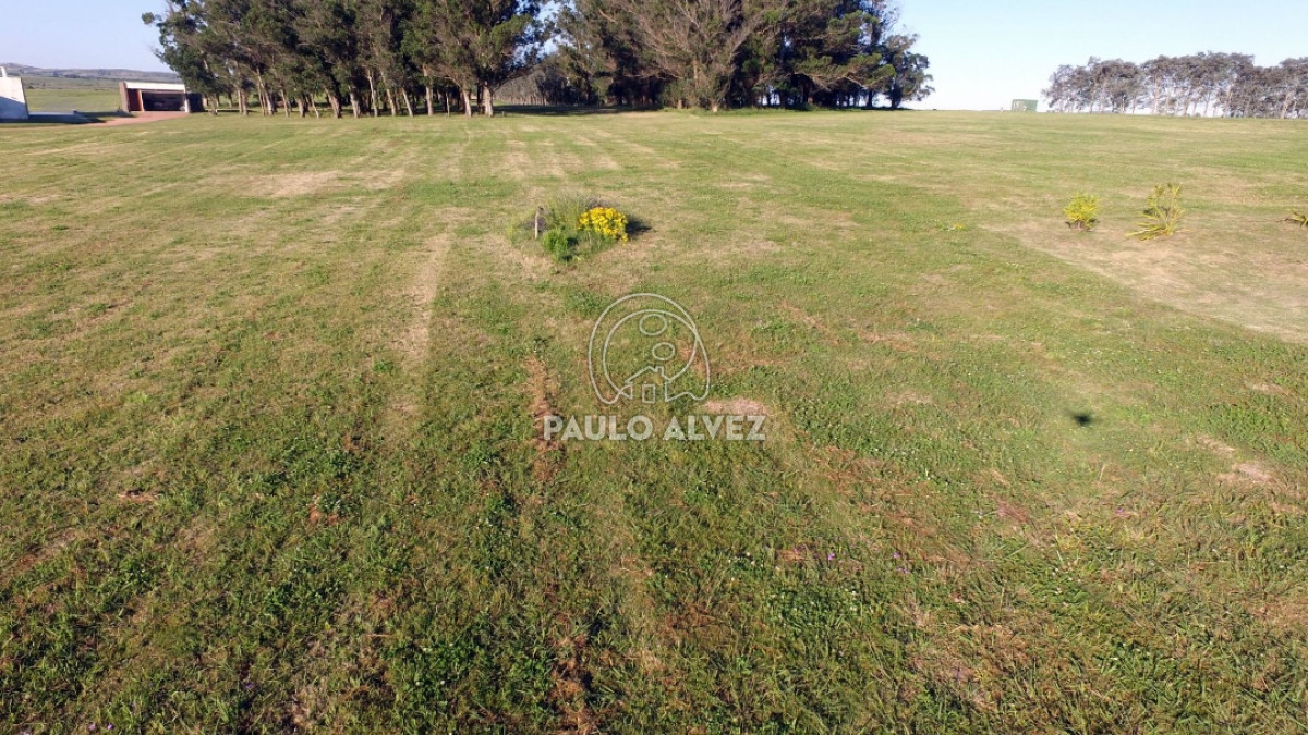 Laguna del Sauce - GoPunta - Portal Inmobiliario de Punta del Este - Maldonado