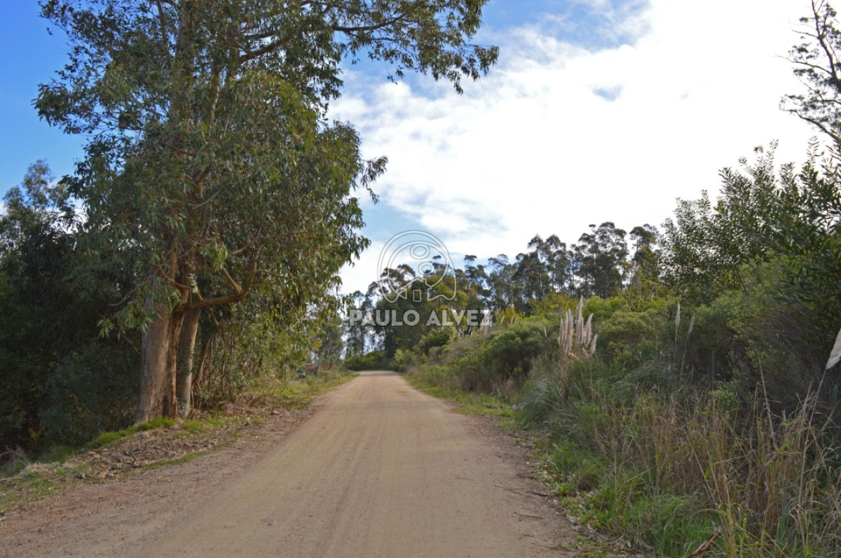 Punta Fria - GoPunta - Portal Inmobiliario de Punta del Este - Maldonado