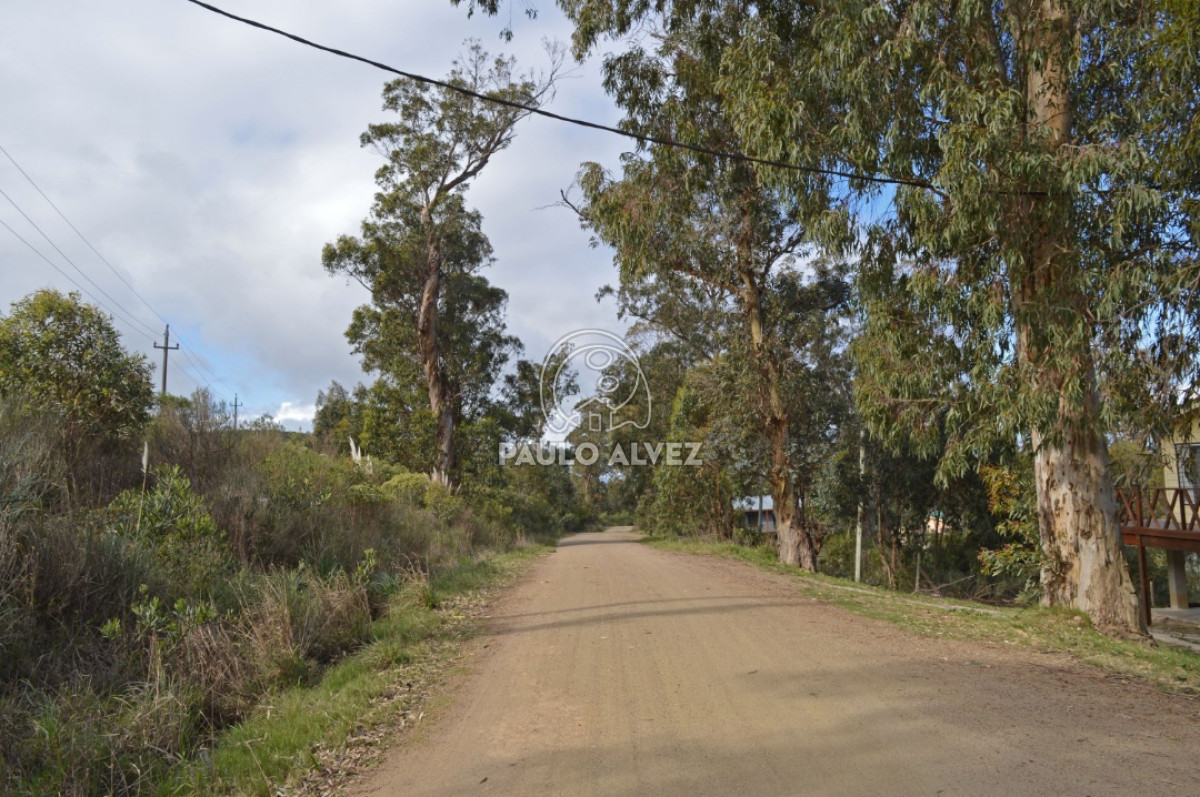 Punta Fria - GoPunta - Portal Inmobiliario de Punta del Este - Maldonado