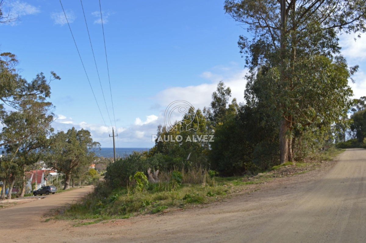 Punta Fria - GoPunta - Portal Inmobiliario de Punta del Este - Maldonado