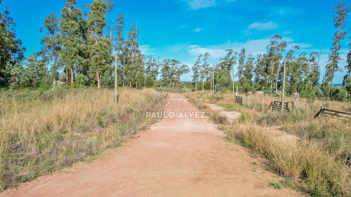 Punta Colorada - GoPunta - Portal Inmobiliario de Punta del Este - Maldonado