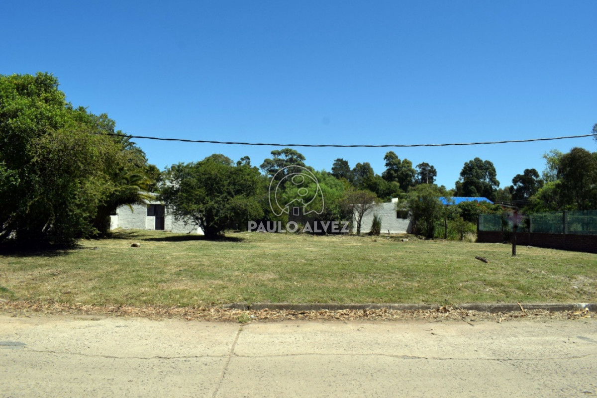 Playa Grande - GoPunta - Portal Inmobiliario de Punta del Este - Maldonado