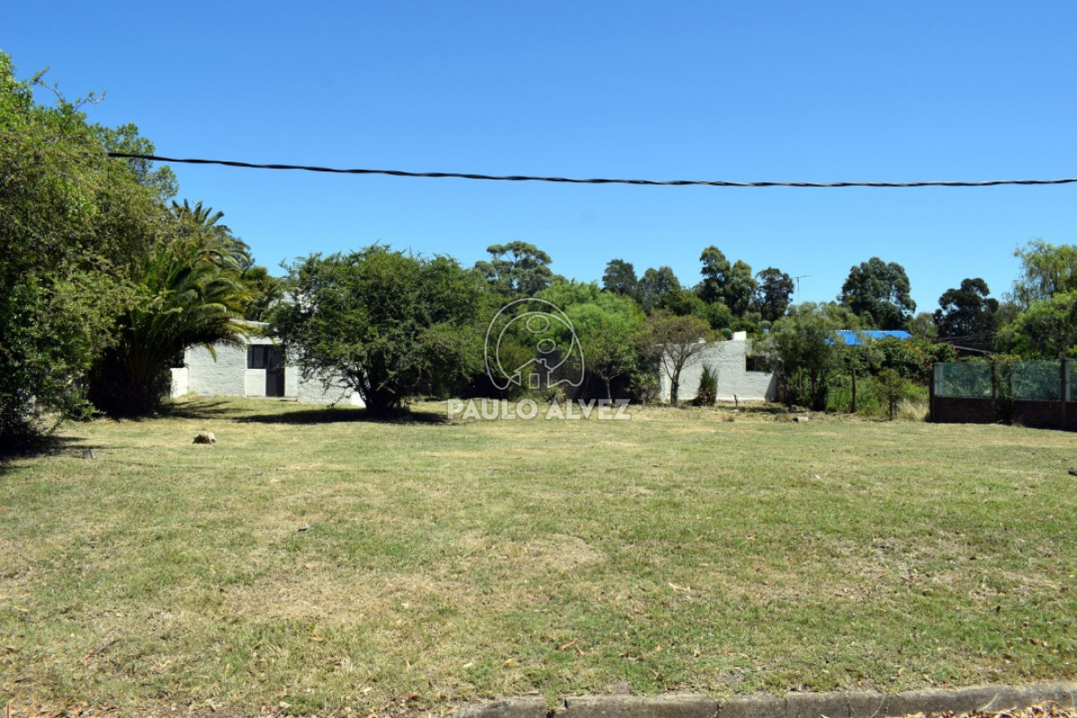 Playa Grande - GoPunta - Portal Inmobiliario de Punta del Este - Maldonado