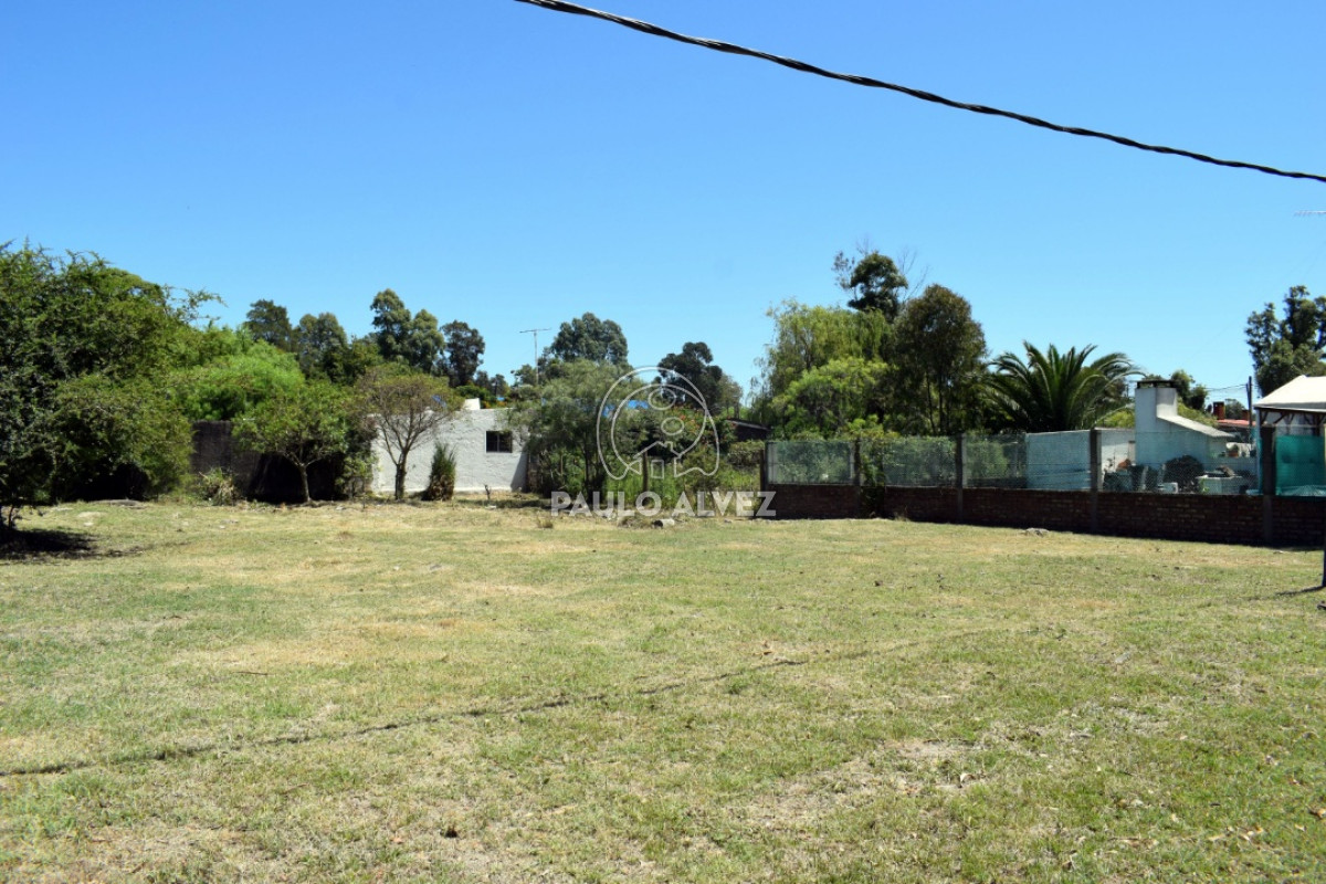 Playa Grande - GoPunta - Portal Inmobiliario de Punta del Este - Maldonado