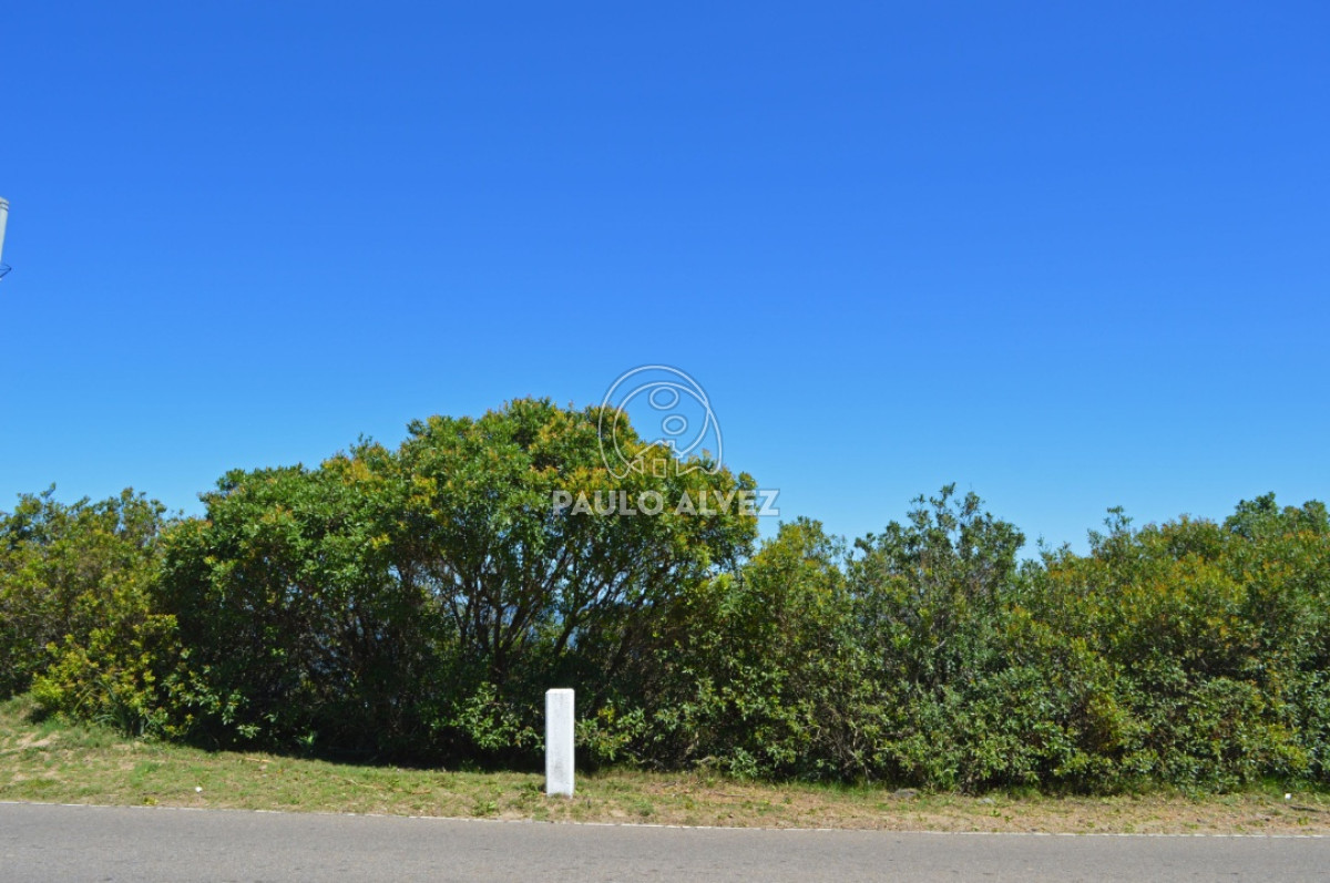 Piriápolis - GoPunta - Portal Inmobiliario de Punta del Este - Maldonado