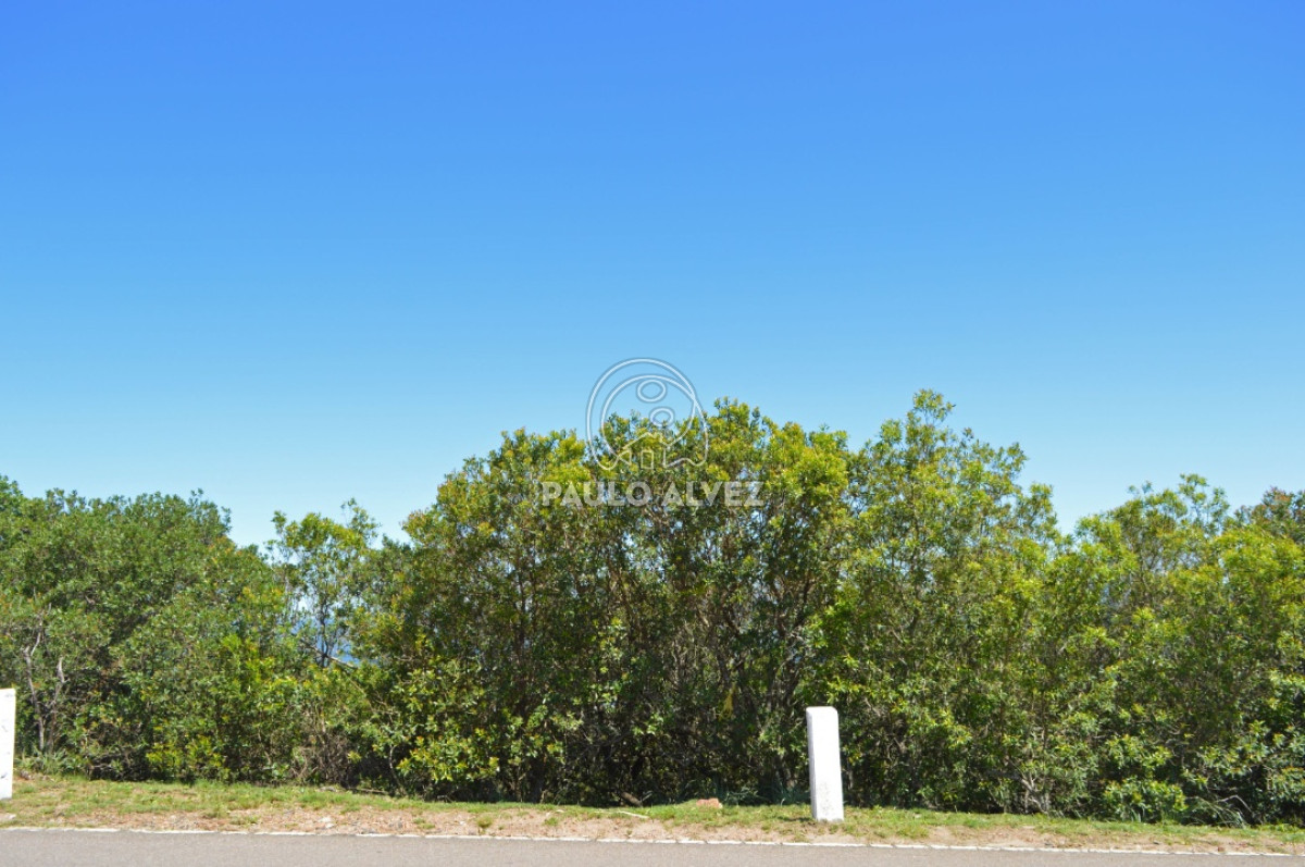 Piriápolis - GoPunta - Portal Inmobiliario de Punta del Este - Maldonado