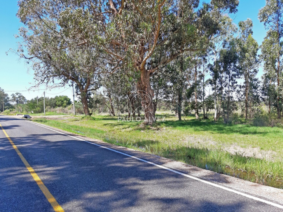 Barra Portezuelo - GoPunta - Portal Inmobiliario de Punta del Este - Maldonado