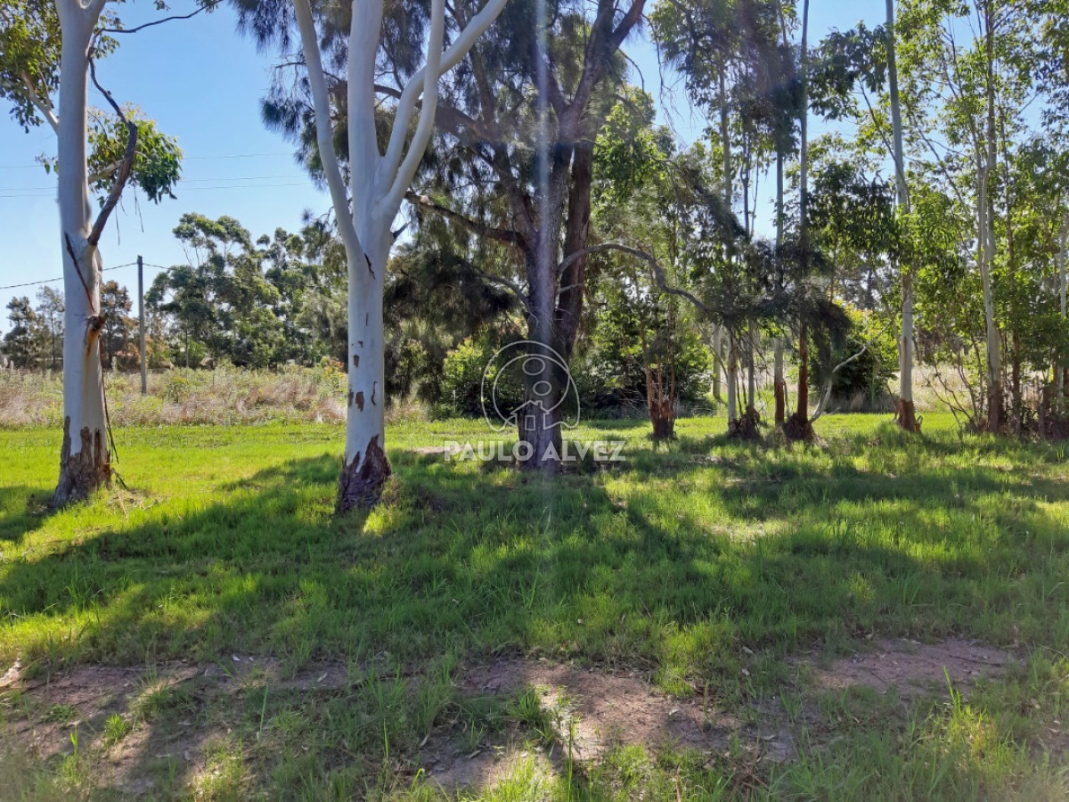 Barra Portezuelo - GoPunta - Portal Inmobiliario de Punta del Este - Maldonado