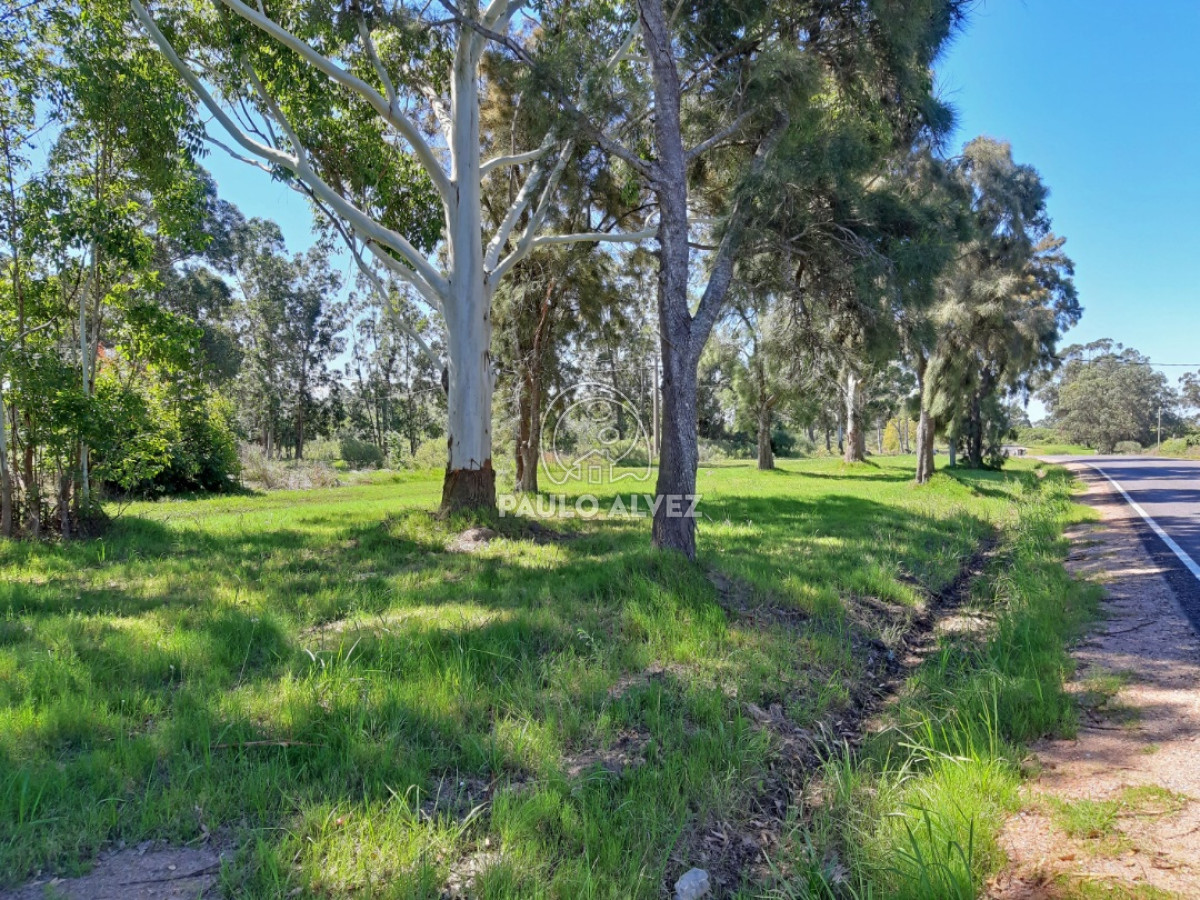 Barra Portezuelo - GoPunta - Portal Inmobiliario de Punta del Este - Maldonado