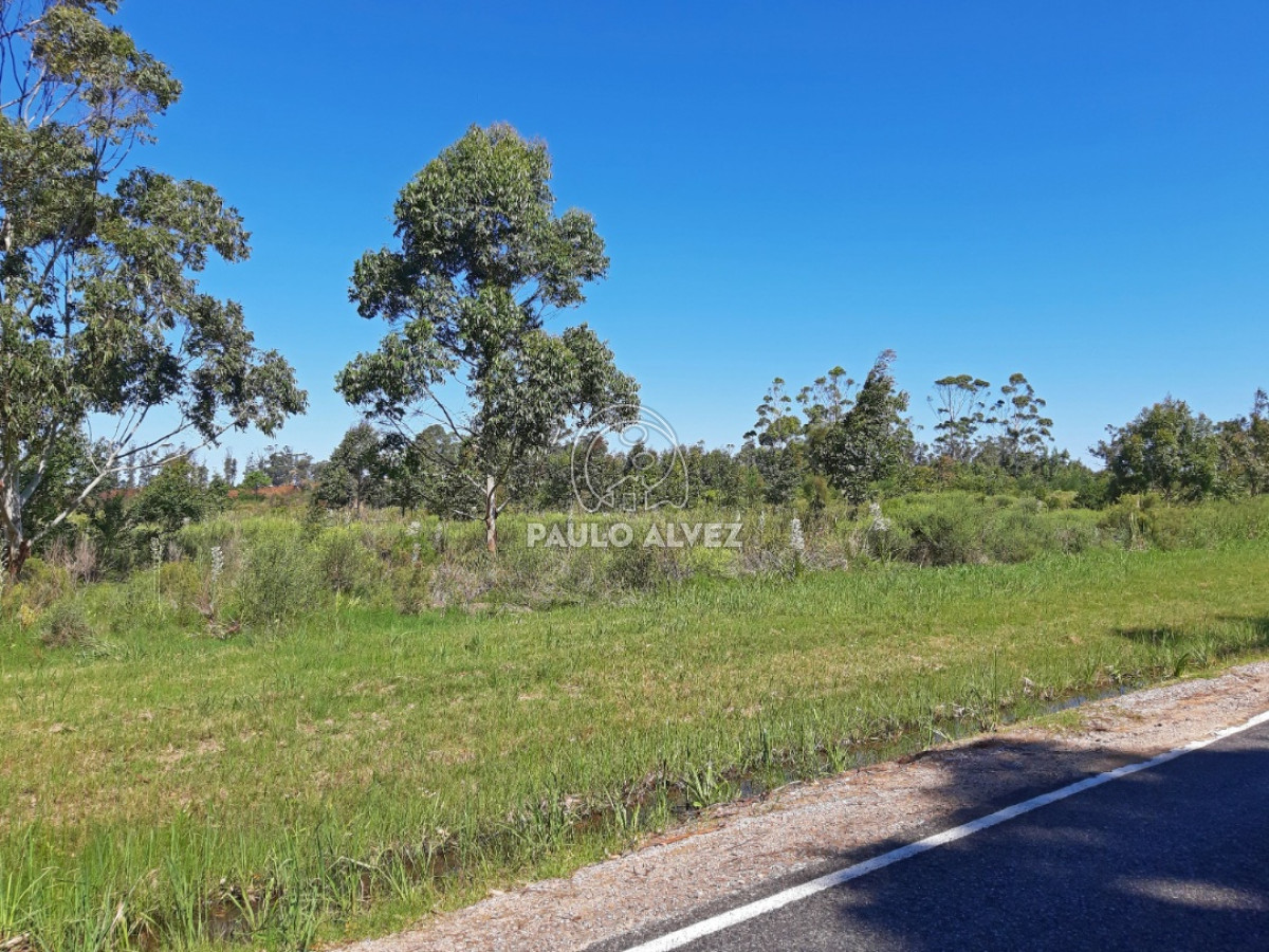 Barra Portezuelo - GoPunta - Portal Inmobiliario de Punta del Este - Maldonado