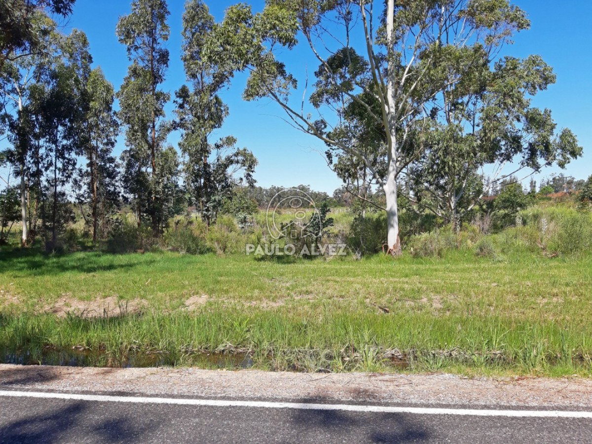 Barra Portezuelo - GoPunta - Portal Inmobiliario de Punta del Este - Maldonado