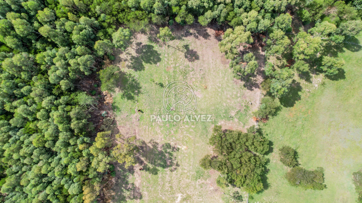 Barra Portezuelo - GoPunta - Portal Inmobiliario de Punta del Este - Maldonado
