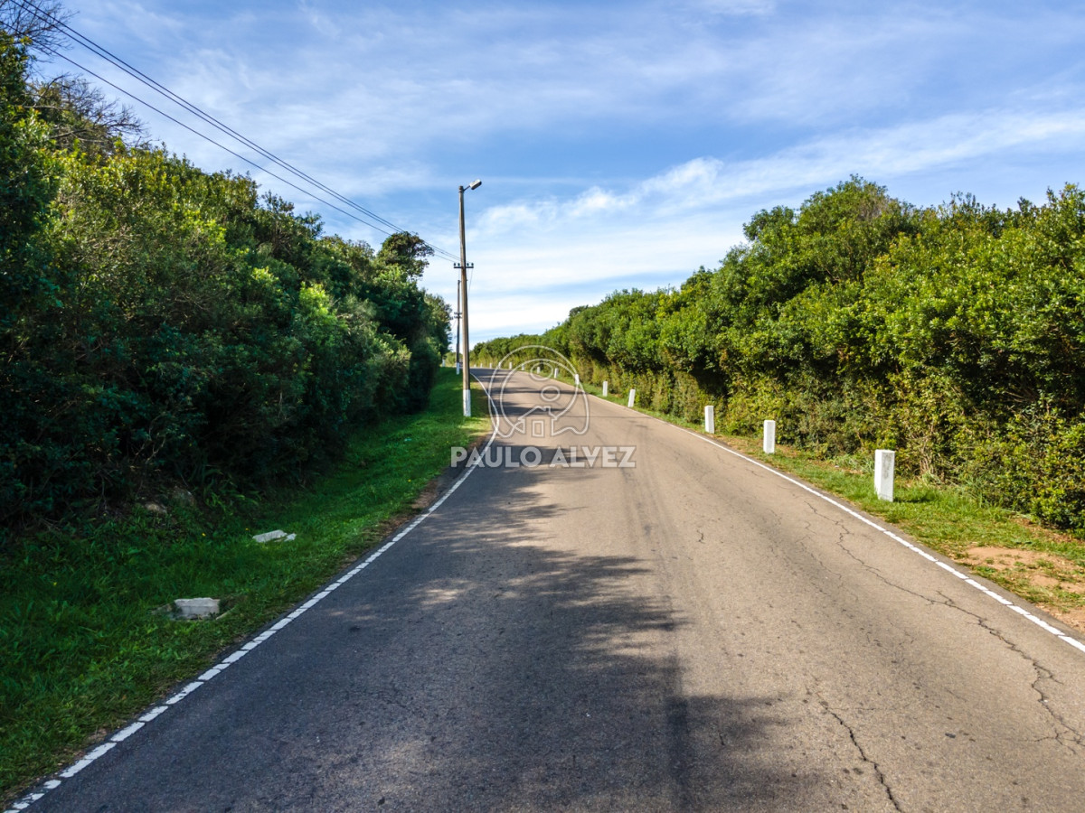 Piriápolis - GoPunta - Portal Inmobiliario de Punta del Este - Maldonado