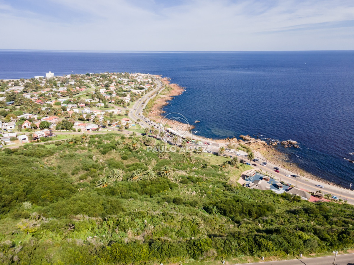 Punta Fria - GoPunta - Portal Inmobiliario de Punta del Este - Maldonado