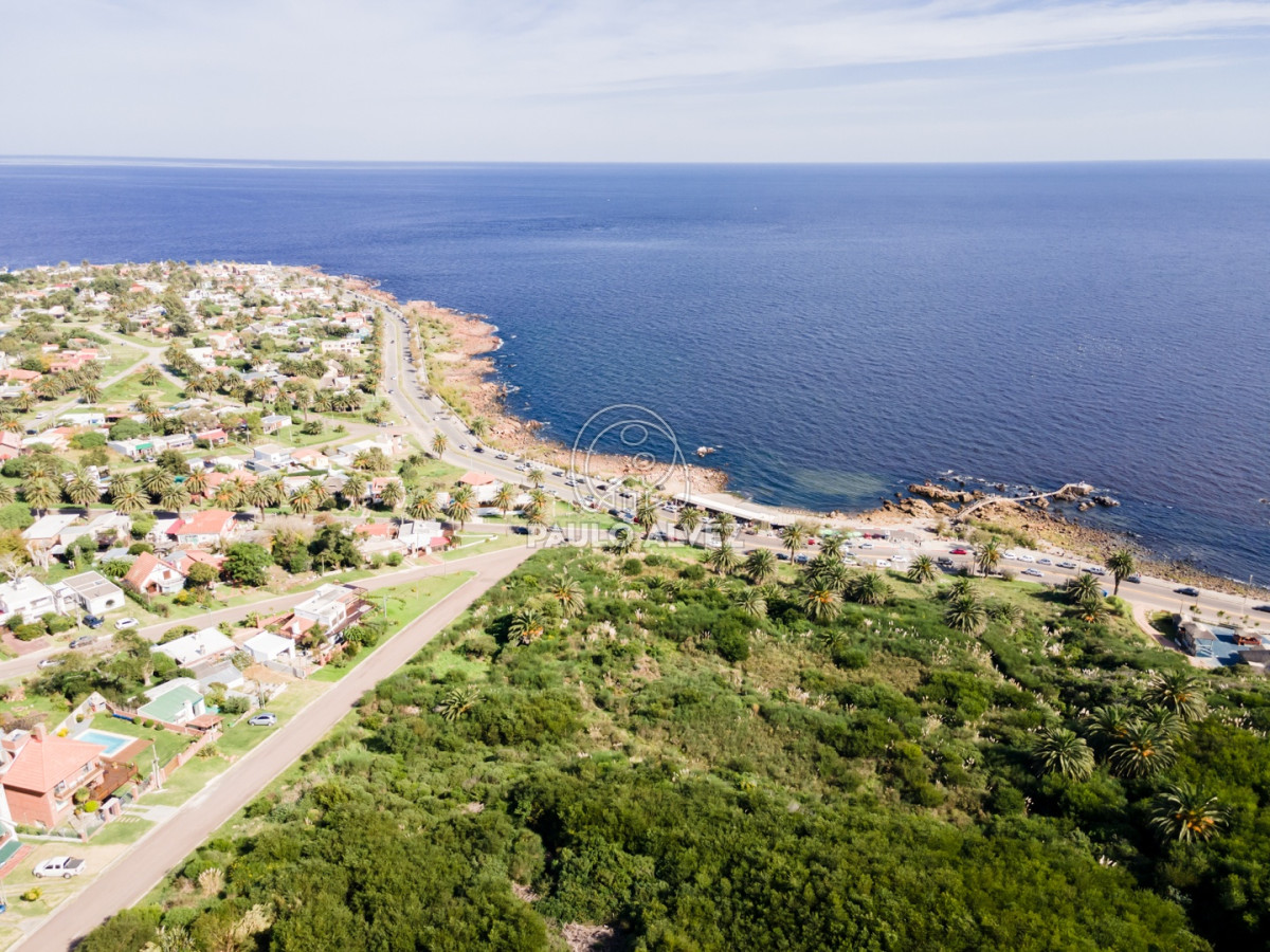 Punta Fria - GoPunta - Portal Inmobiliario de Punta del Este - Maldonado