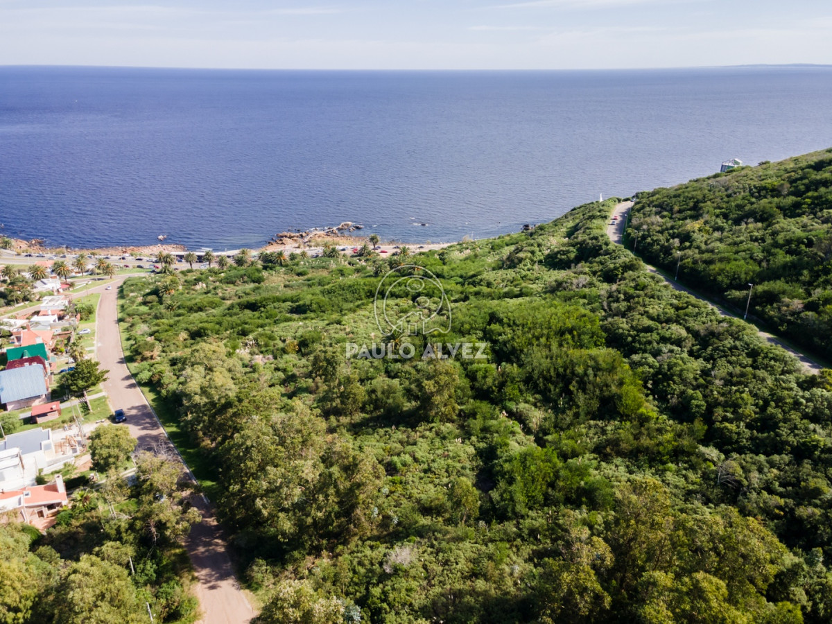 Punta Fria - GoPunta - Portal Inmobiliario de Punta del Este - Maldonado
