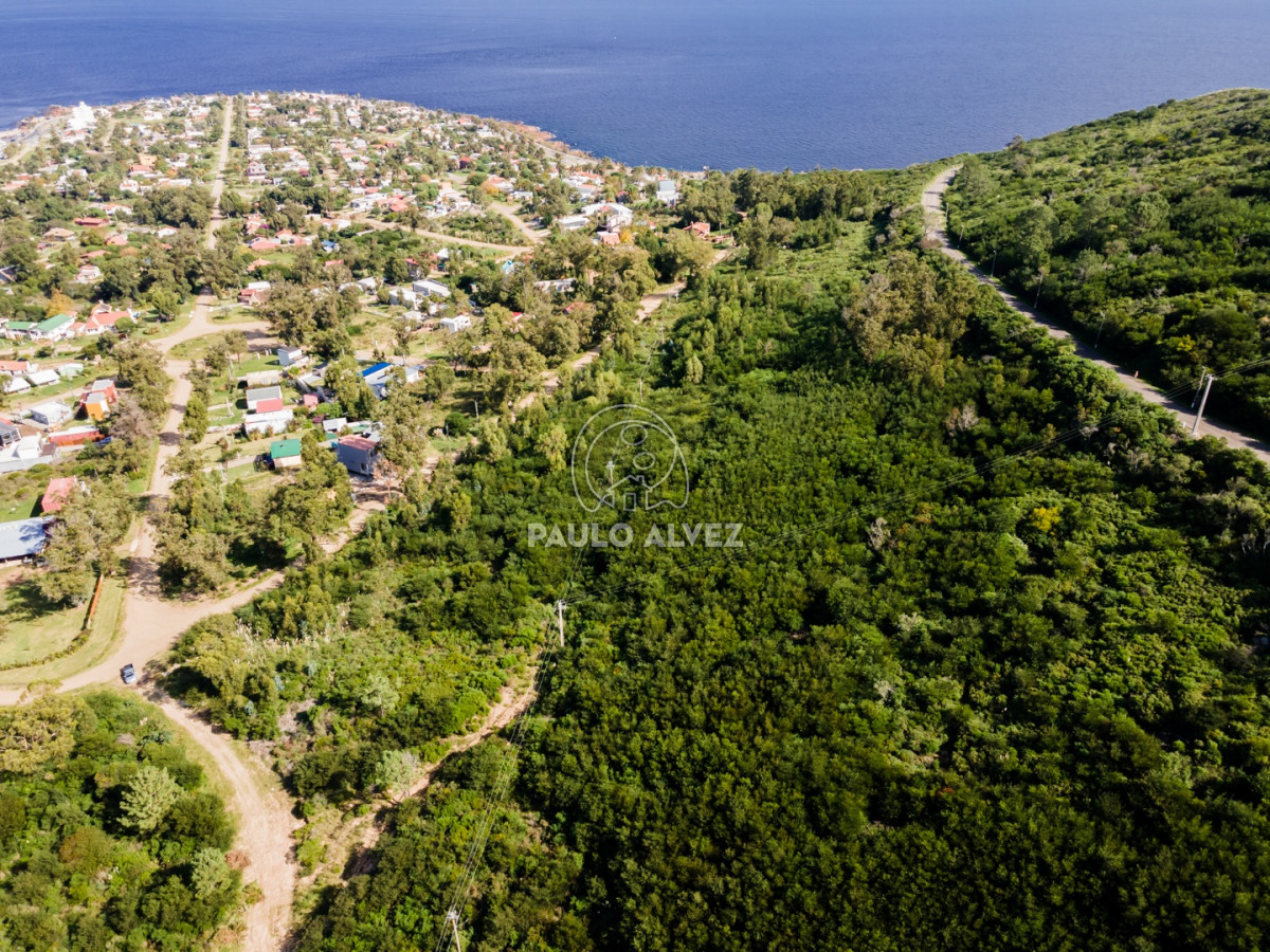 Punta Fria - GoPunta - Portal Inmobiliario de Punta del Este - Maldonado