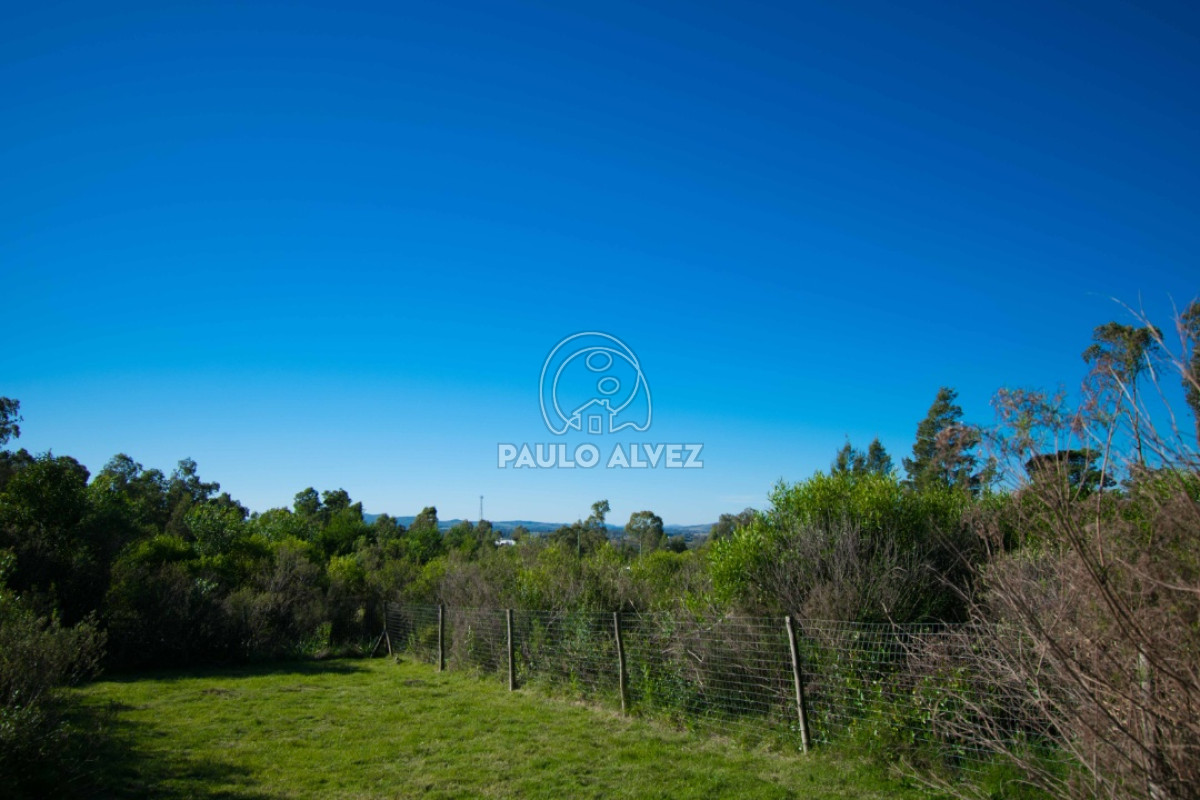 Piriu00e1polis - GoPunta - Portal Inmobiliario de Punta del Este - Maldonado