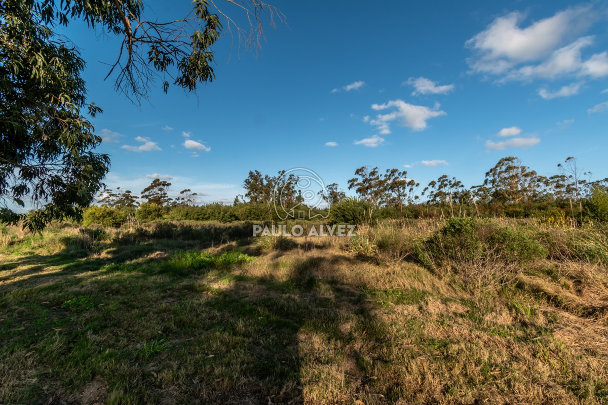 Barra Portezuelo - GoPunta - Portal Inmobiliario de Punta del Este - Maldonado