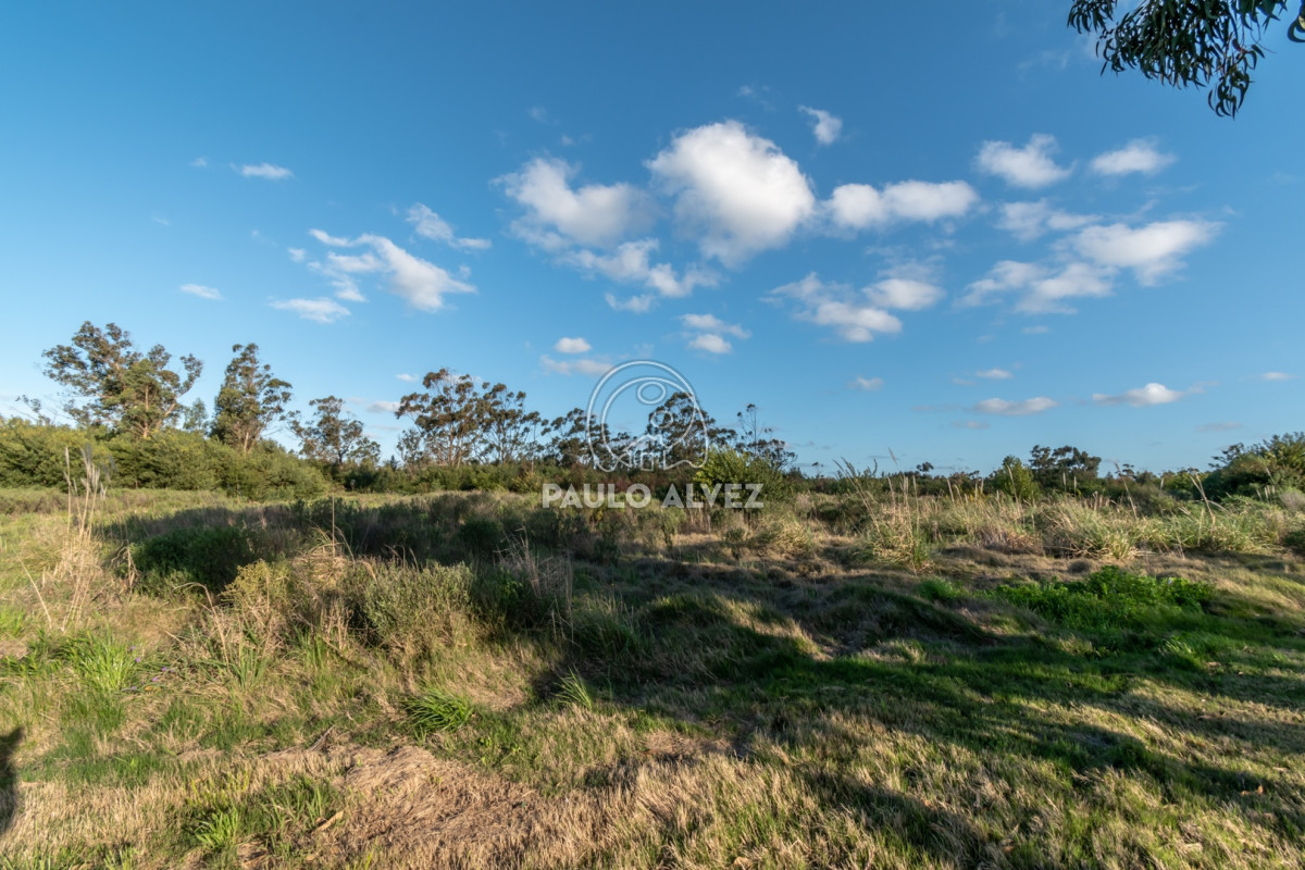 Barra Portezuelo - GoPunta - Portal Inmobiliario de Punta del Este - Maldonado