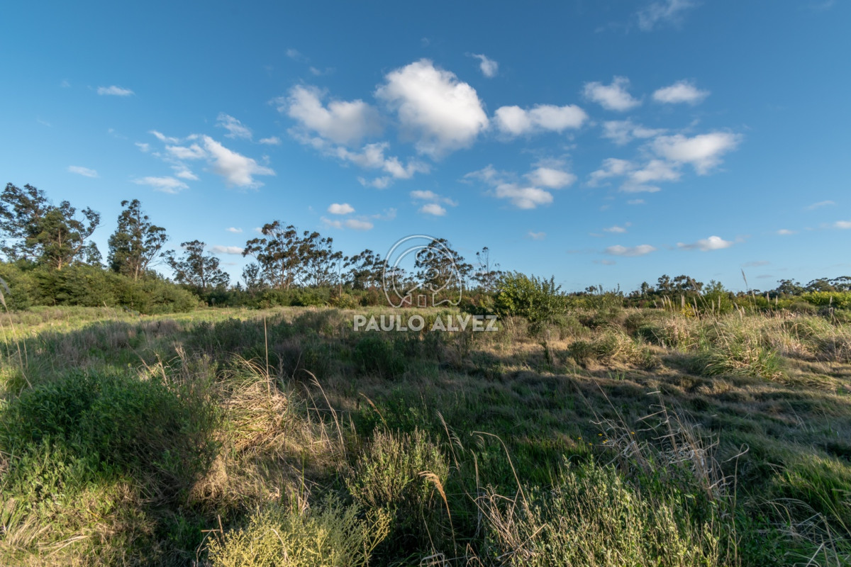 Barra Portezuelo - GoPunta - Portal Inmobiliario de Punta del Este - Maldonado