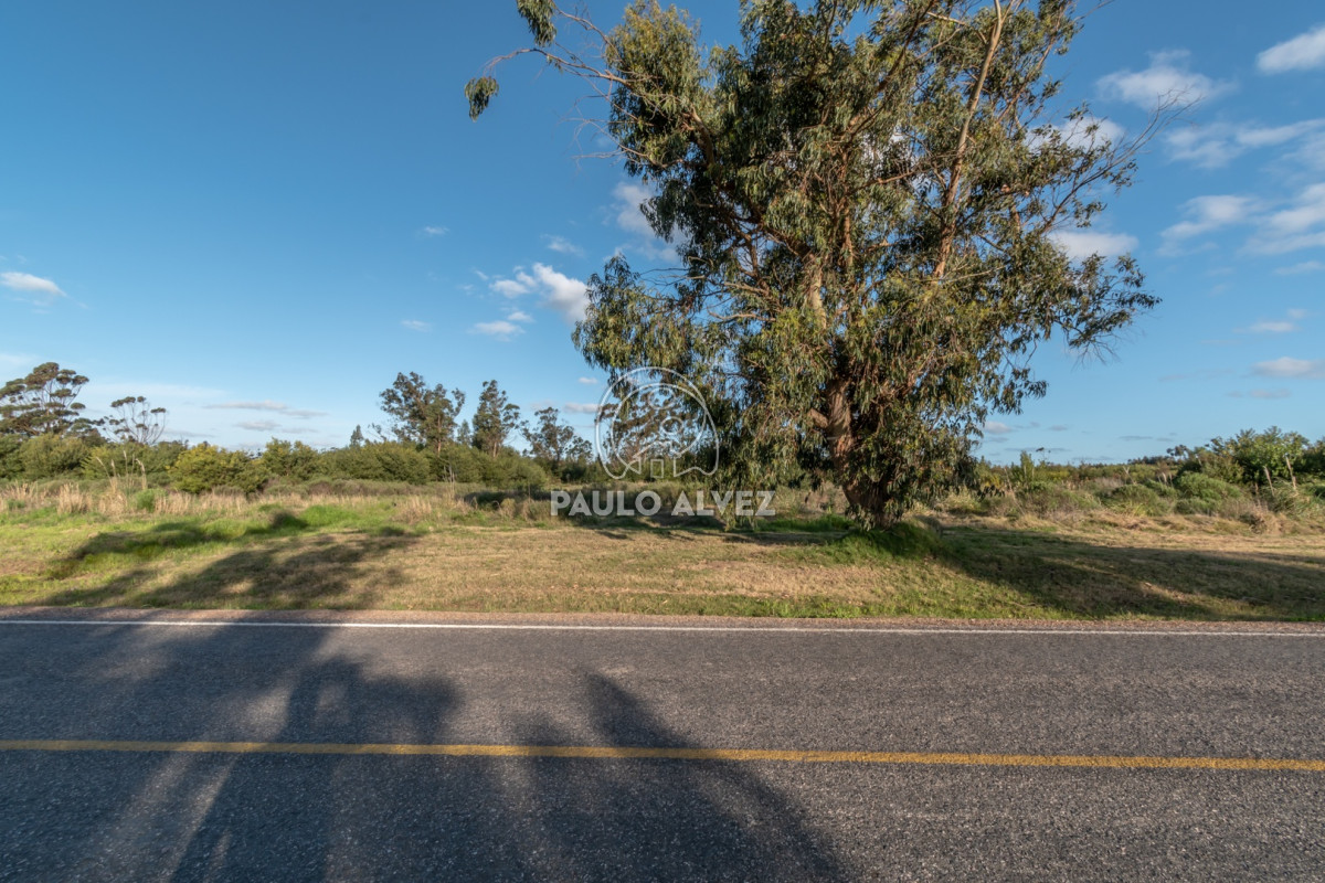 Barra Portezuelo - GoPunta - Portal Inmobiliario de Punta del Este - Maldonado