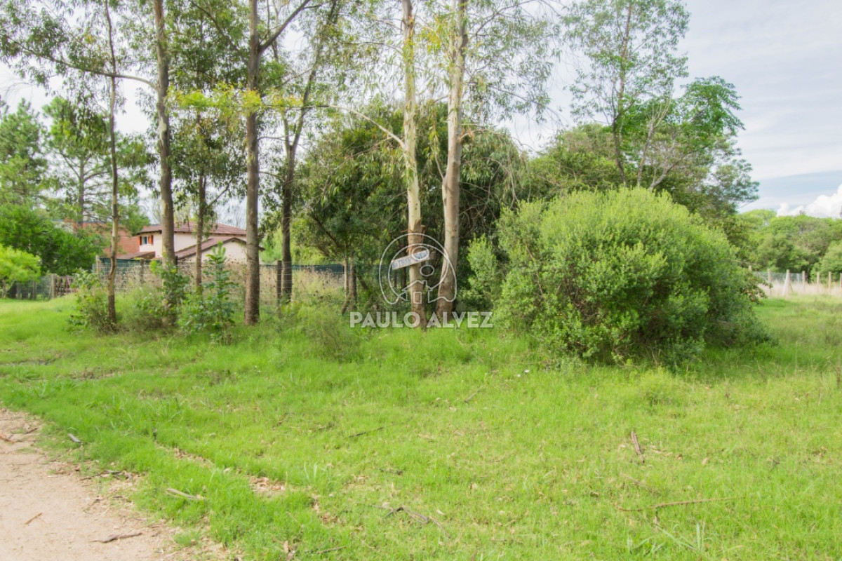 Solis - GoPunta - Portal Inmobiliario de Punta del Este - Maldonado