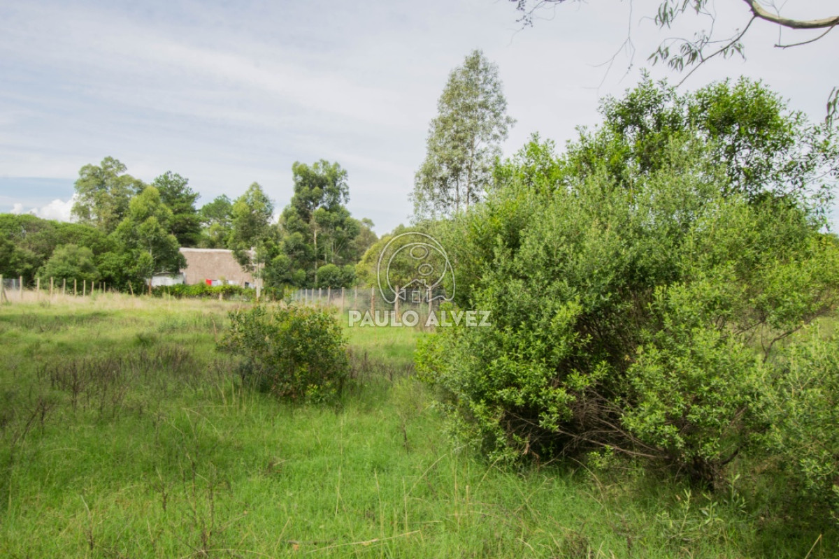 Solis - GoPunta - Portal Inmobiliario de Punta del Este - Maldonado