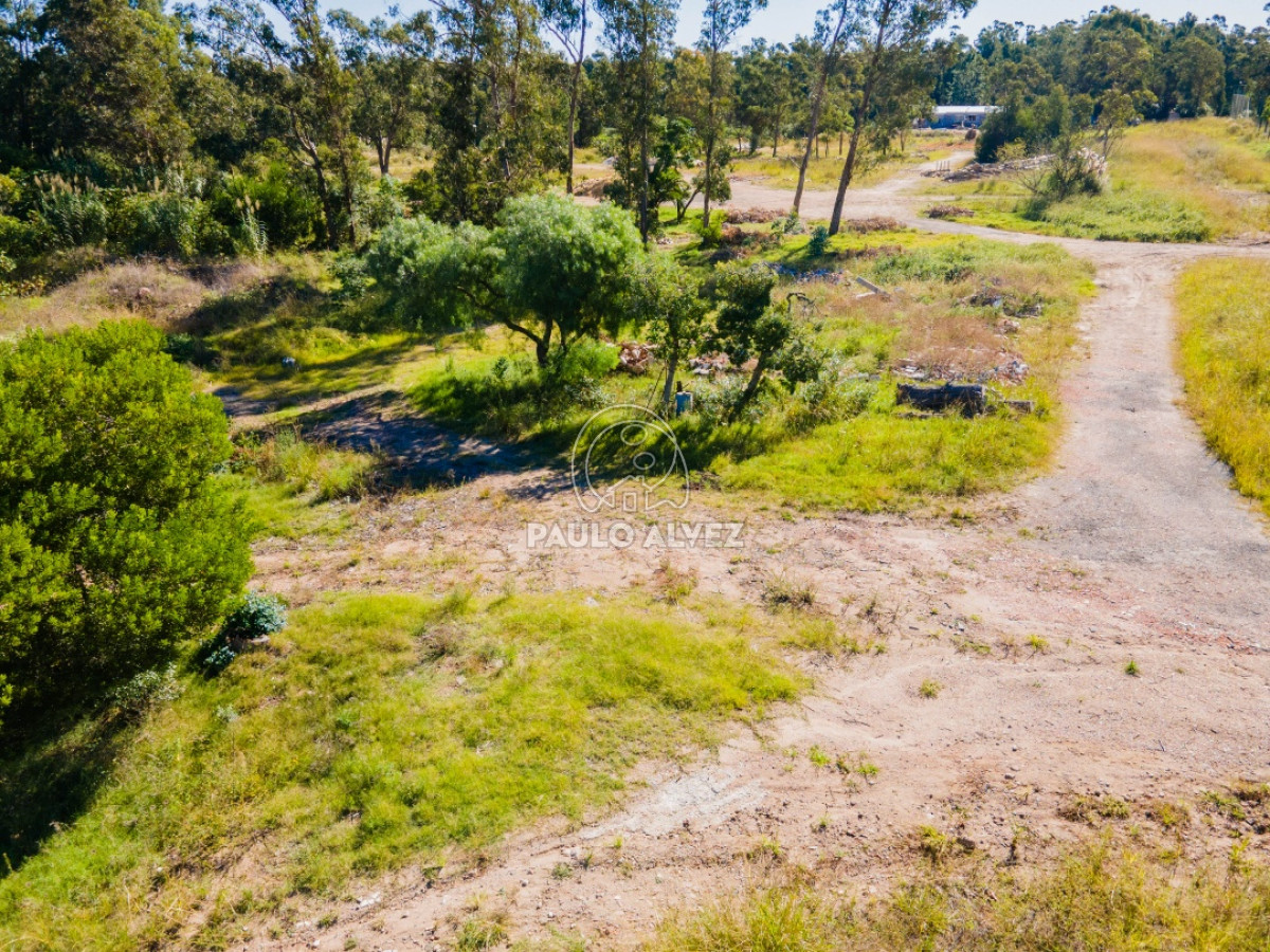 Piriápolis - GoPunta - Portal Inmobiliario de Punta del Este - Maldonado