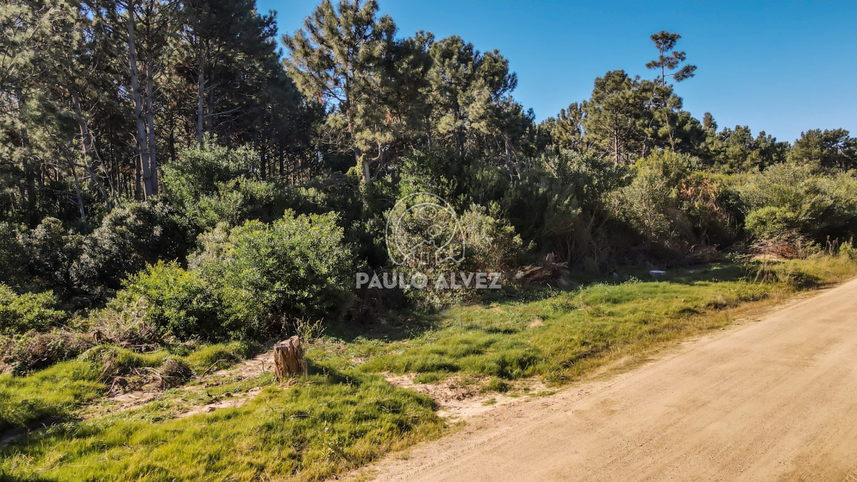 Punta Colorada - GoPunta - Portal Inmobiliario de Punta del Este - Maldonado