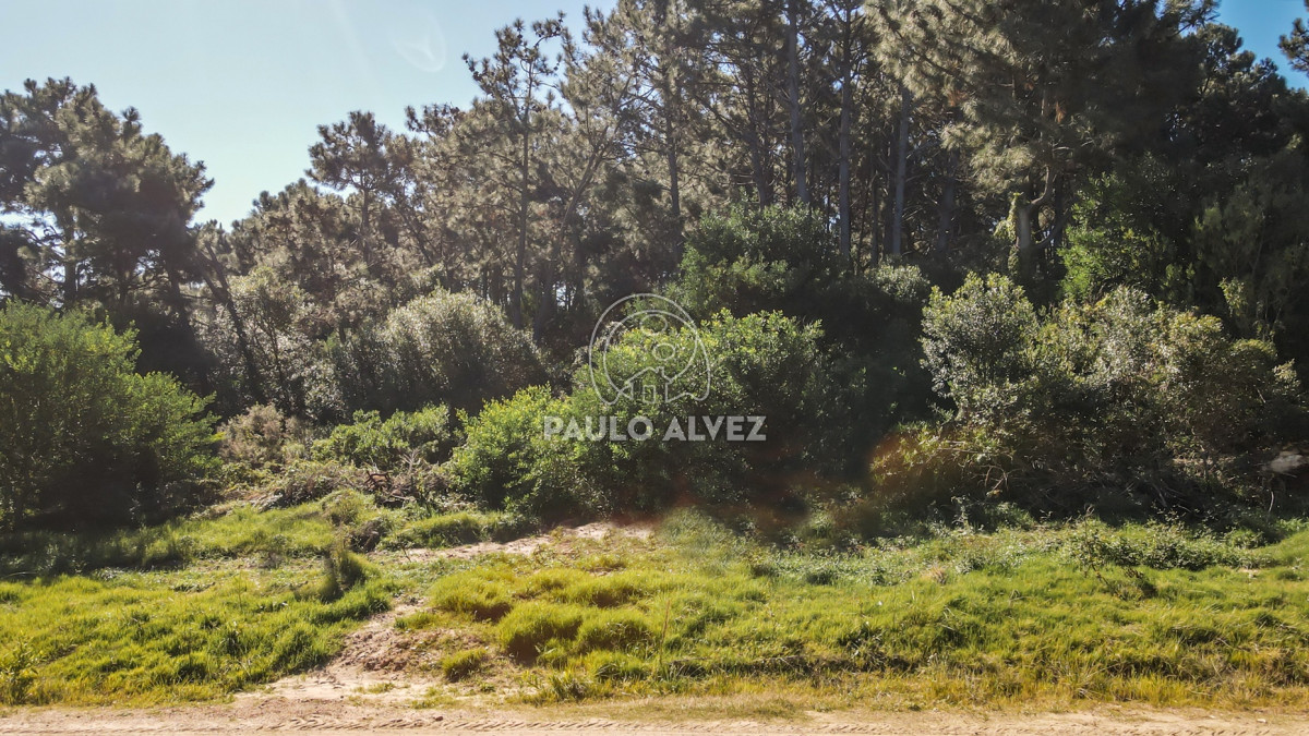 Punta Colorada - GoPunta - Portal Inmobiliario de Punta del Este - Maldonado