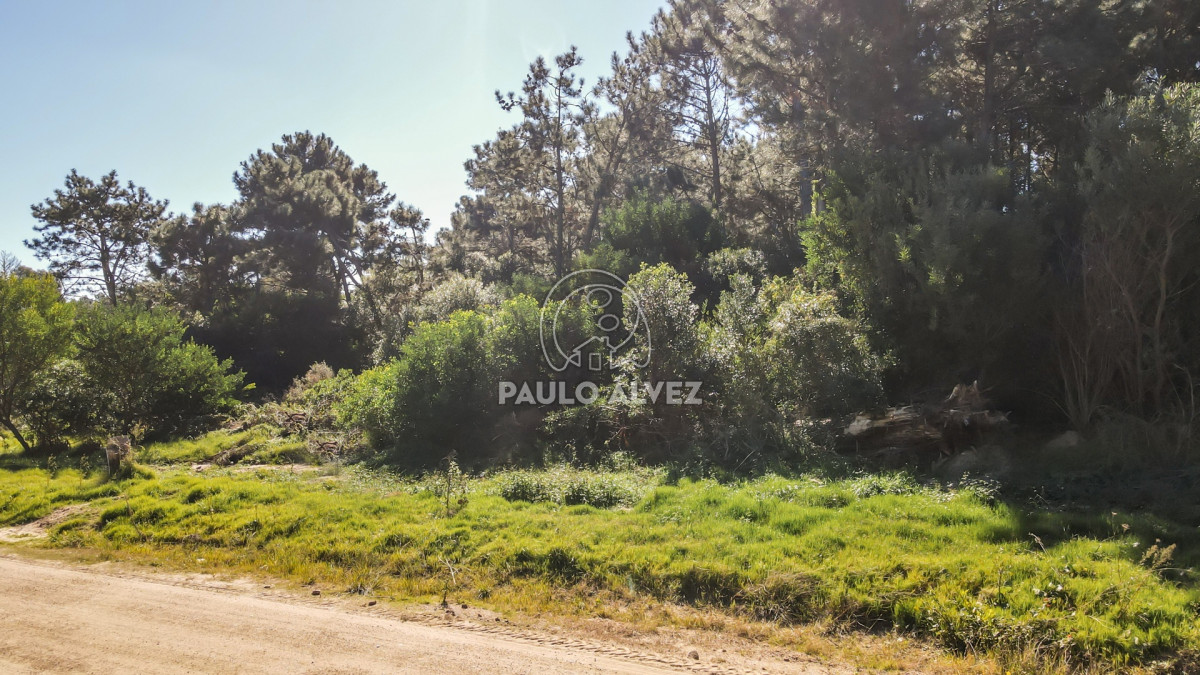Punta Colorada - GoPunta - Portal Inmobiliario de Punta del Este - Maldonado