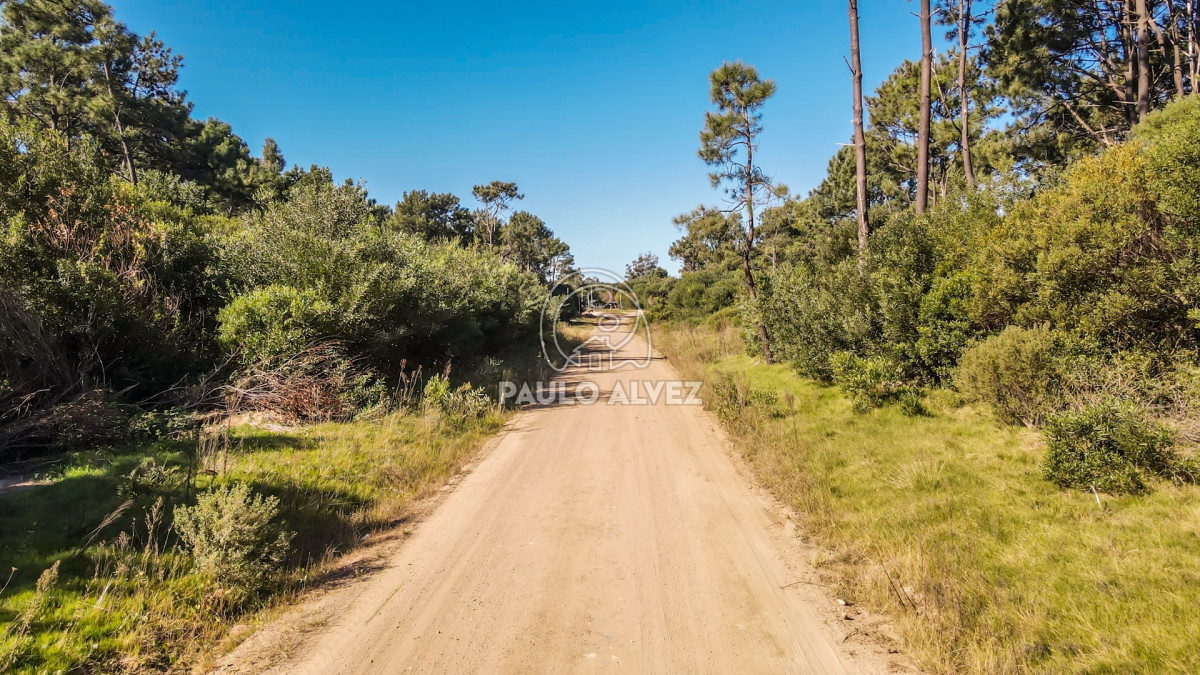 Punta Colorada - GoPunta - Portal Inmobiliario de Punta del Este - Maldonado