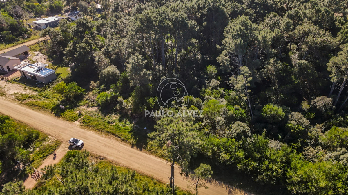 Punta Colorada - GoPunta - Portal Inmobiliario de Punta del Este - Maldonado
