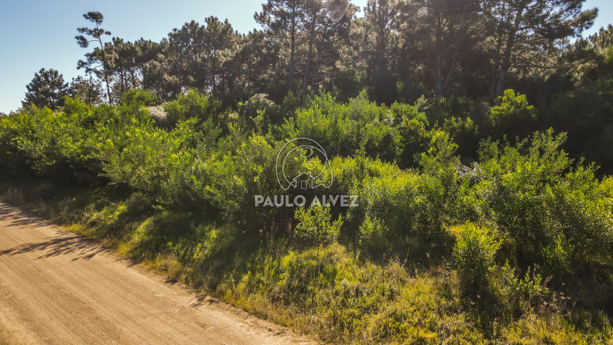 Punta Colorada - GoPunta - Portal Inmobiliario de Punta del Este - Maldonado