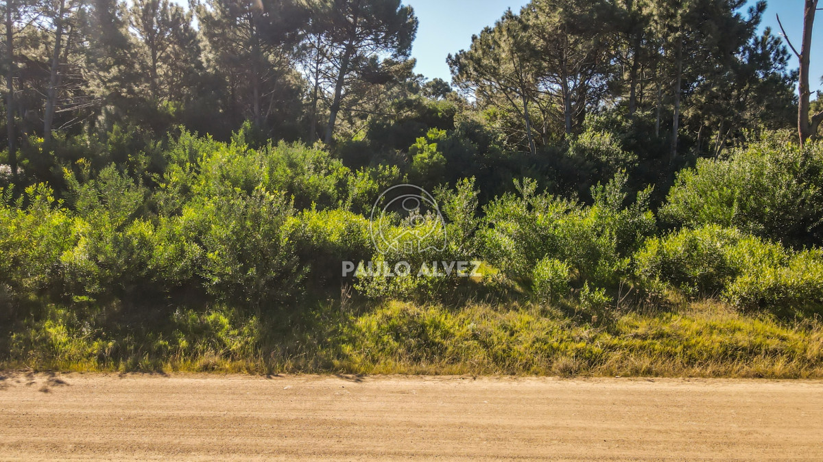 Punta Colorada - GoPunta - Portal Inmobiliario de Punta del Este - Maldonado