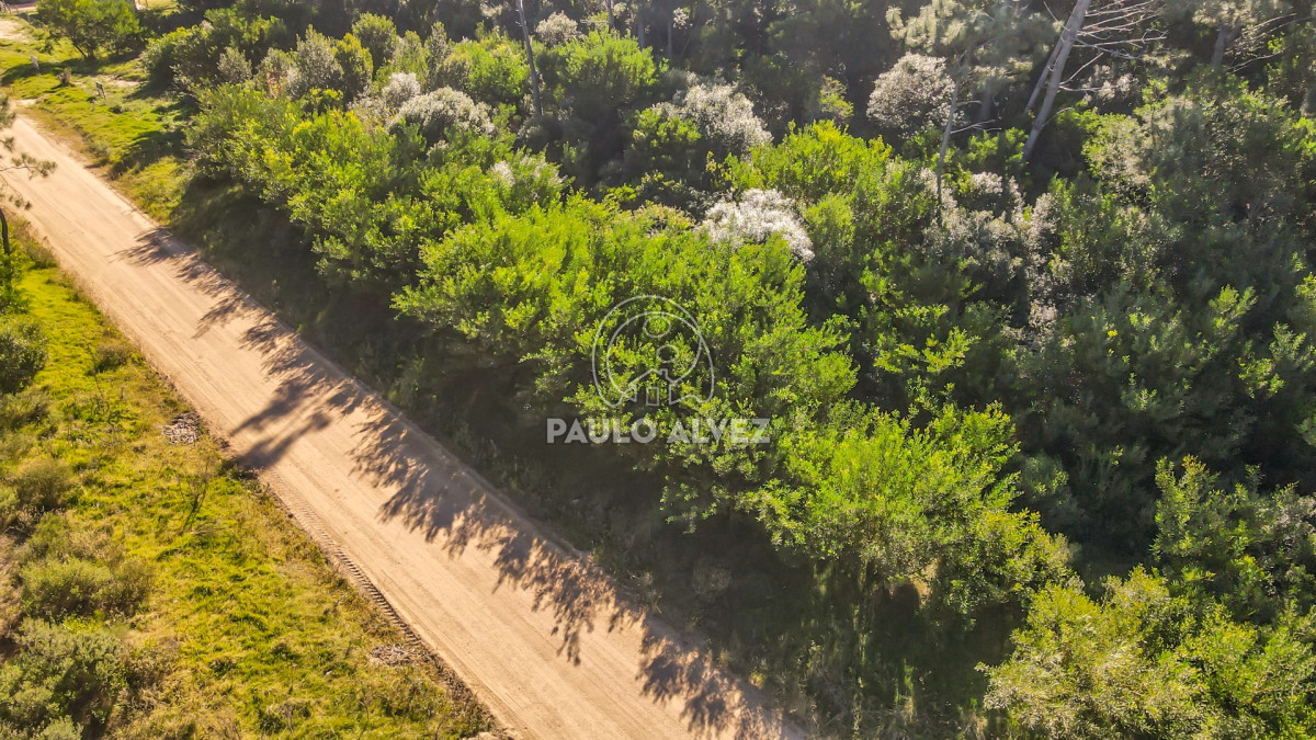 Punta Colorada - GoPunta - Portal Inmobiliario de Punta del Este - Maldonado