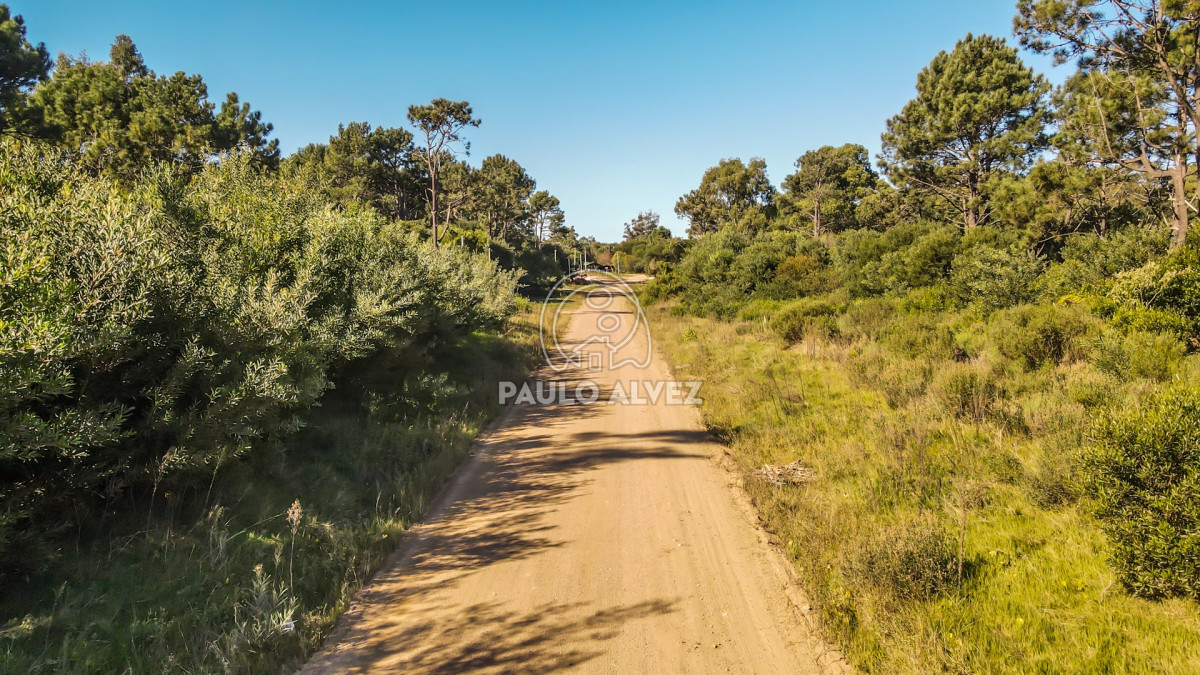 Punta Colorada - GoPunta - Portal Inmobiliario de Punta del Este - Maldonado