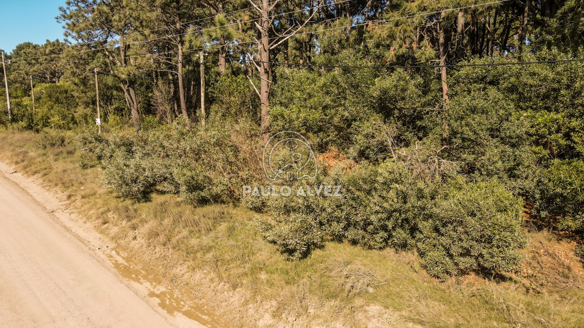 Punta Colorada - GoPunta - Portal Inmobiliario de Punta del Este - Maldonado