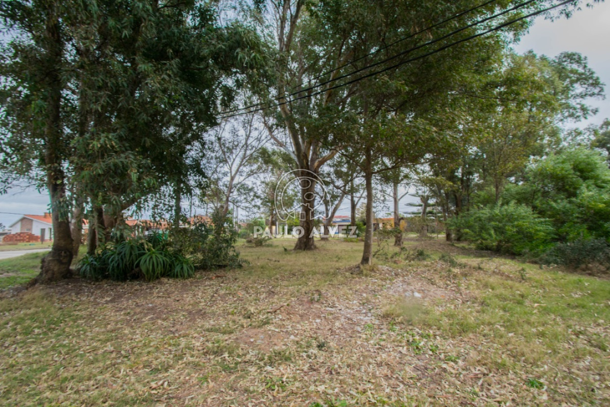 Playa Grande - GoPunta - Portal Inmobiliario de Punta del Este - Maldonado