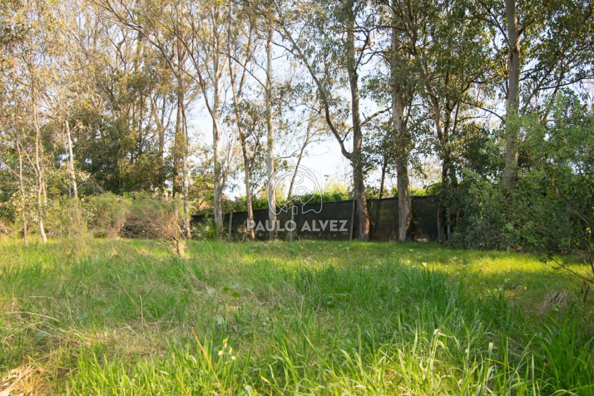 Bella Vista - GoPunta - Portal Inmobiliario de Punta del Este - Maldonado