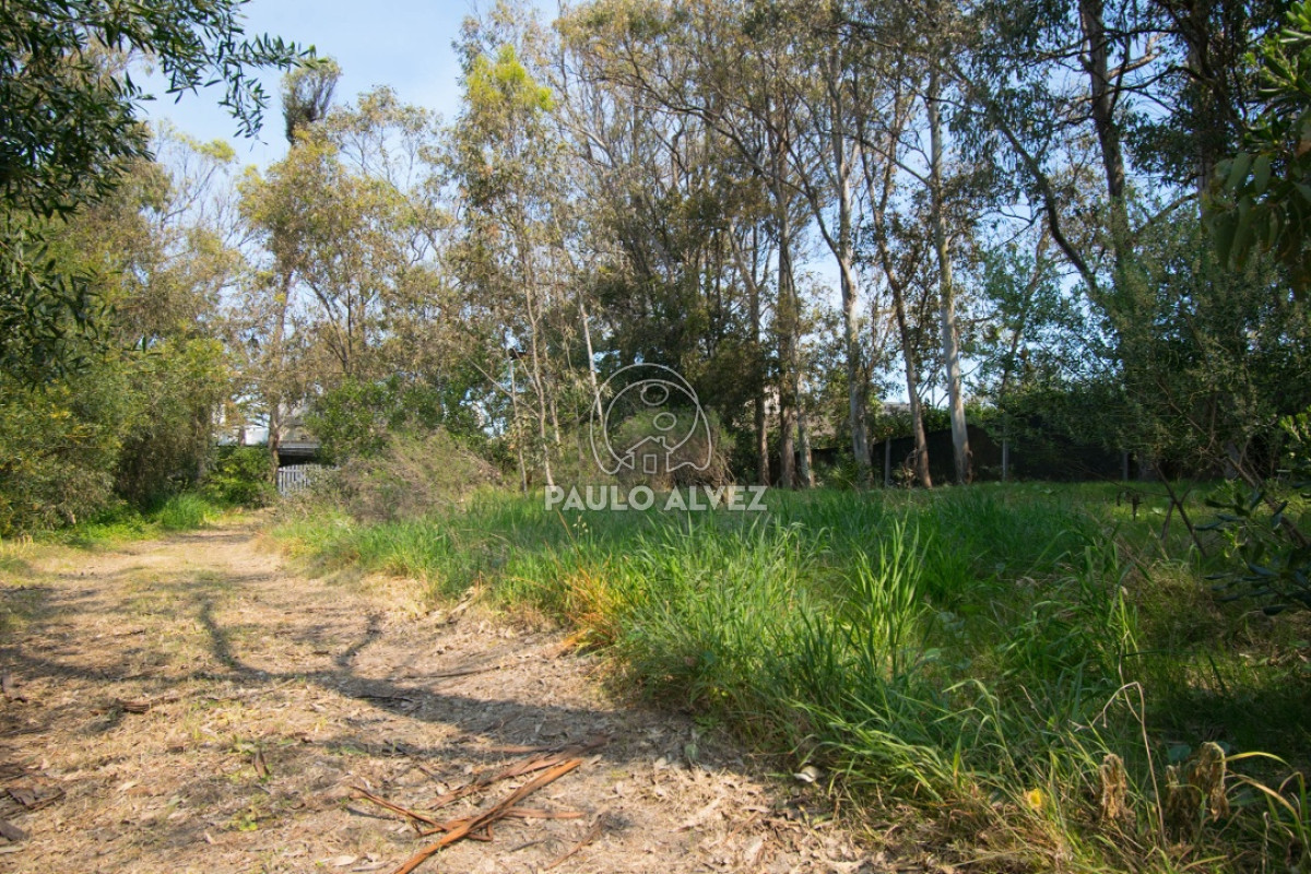 Bella Vista - GoPunta - Portal Inmobiliario de Punta del Este - Maldonado