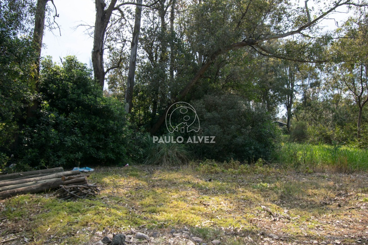 Bella Vista - GoPunta - Portal Inmobiliario de Punta del Este - Maldonado